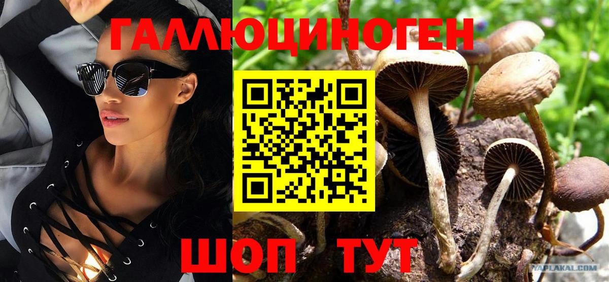 Псилоцибиновые грибы GOLDEN TEACHER Кемерово