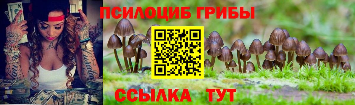 Галлюциногенные грибы Cubensis  Псилоцибиновые грибы мухоморы  цены   Кемерово  Вход с VPN 